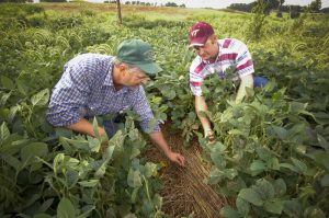 Farmers in Rockingham County, Virginia check the results of no-till farming in their fields in 2008, as part of their participation in a U.S. Department of Agriculture program (Bob Nichols/USDA)