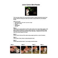 Juice Carton Bird Feeder