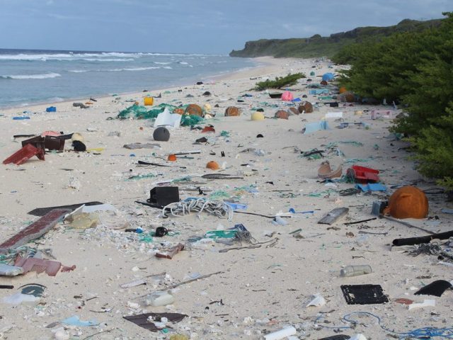 Trash on beach