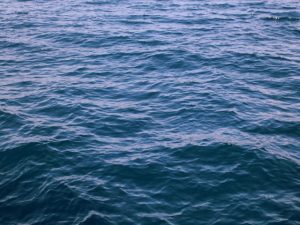 Video category image for watersheds
